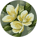 Nagham J. profile picture